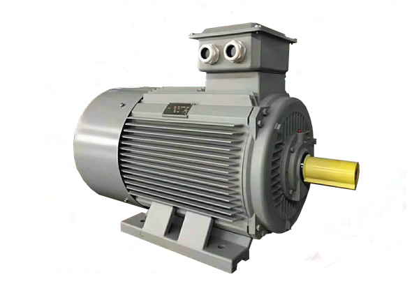 普通低壓電機(jī)Y2 (機(jī)座號63-355)