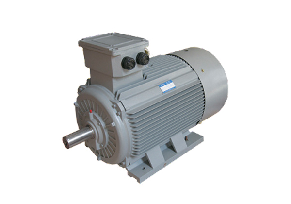 普通低壓電機(jī)Y2 (機(jī)座號63-355)